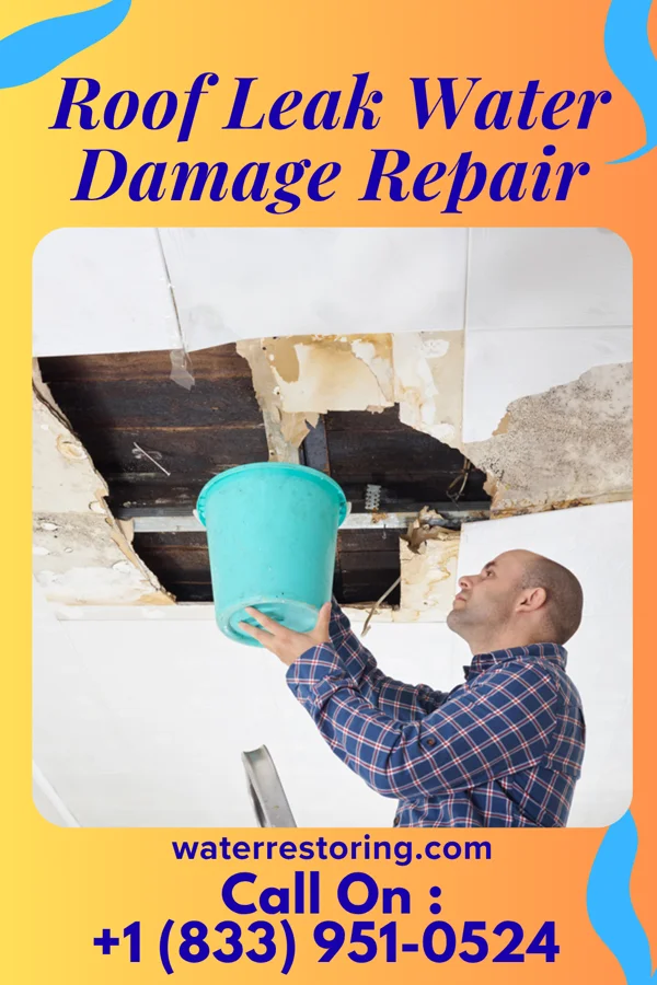 Roof Leak Water Damage Repair in Georgetown, KY