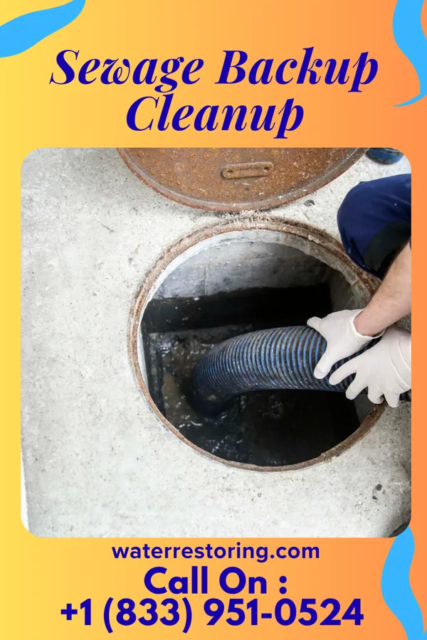 Sewage Backup Cleanup in Georgetown, KY